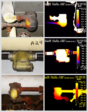 infrared-testing-service-steam