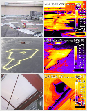 Infrared Roof Moisture Detection