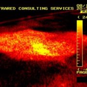 Reveal problems with a thermal imaging survey.